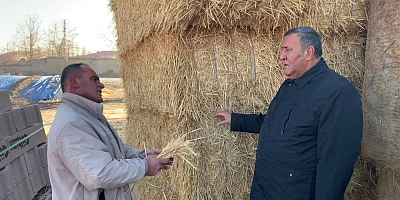 Gürer: “Yem ofisi kurulmalı ve kamu yem fiyatını sübvanse etmelidir”