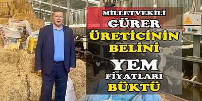 Gürer: “Yem sübvanse edilmeli, aracılık sistemi daraltılmalı”