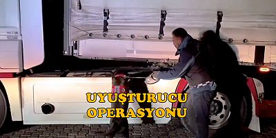 Hakkari ve Ağrı'da uyuşturucu operasyonu