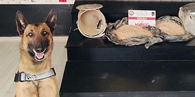 Hakkari Yüksekova'da Eroin Yakalandı