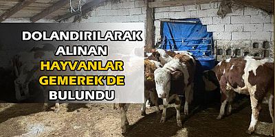 Hayvan Dolandırıcıları Yakalandı.