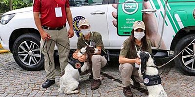 Hayvan Hakları İhlalleri İçin 1.706 Personel Sahada