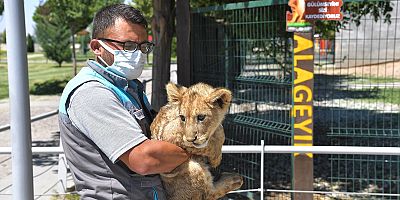 HAYVANAT BAHÇESİ, YENİ MİNİK ÜYELERİ İLE ŞENLENDİ