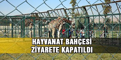 HAYVANAT BAHÇESİ ZİYARETE KAPATILDI