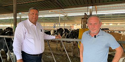 Hayvancılıkta bir kez daha tehlike çanları çalıyor