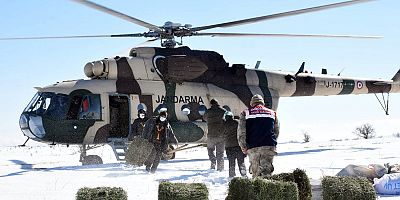 Helikopter ile yuksek yerlerde kalan hayvanlara yem atıldı