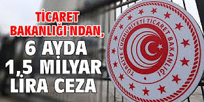 İç piyasa denetimlerinde 2,3 milyar lira ceza