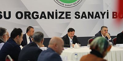 İncesu OSB Müteşebbis Teşekkül Heyeti Vali Çiçek Başkanlığında Toplandı