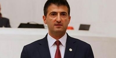 İzmir Milletvekili Çelebi, 