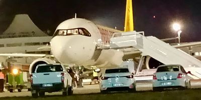 JAL 31 Airbus uçağı satın alıyor