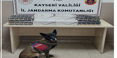 KAÇAK SİGARA ELE GEÇİRİLDİ