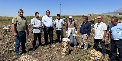 Kadın patates üreticisi, çaresizliğe isyan etti: “Biz bitiğiz, gerçekten bitiğiz.” dedi.