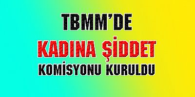 KADINA ŞİDDET KOMİŞYONU KURULDU