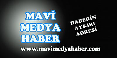 Kamala Harris anketlerde yükseliyor