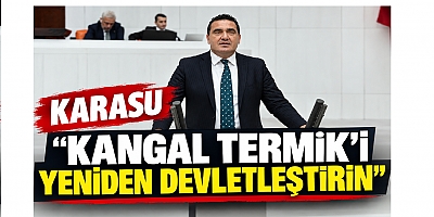 Karasu, Meclis Araştırma Önergesi verdi.