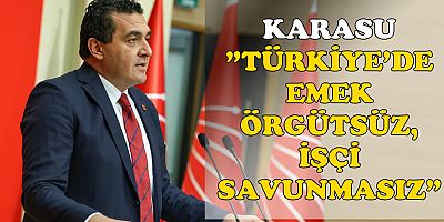 KARASU “TÜRKİYE’DE ÇALIŞMA HAYATI GÜVENCESİZLİK REJİMİNE DÖNÜŞTÜ”