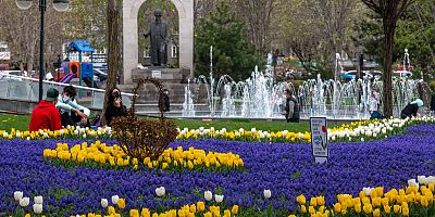 KAYSERİ 1 MİLYON LALE VE SÜMBÜL İLE DONATILDI