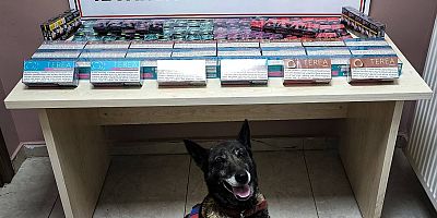 Kayseri’de 1 kişiye kaçak sigara gözaltısı