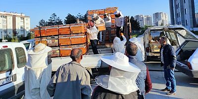 Kayseri’de arı üreticilerine destek