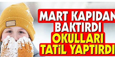 Kayseri de Eğitime Kar Engeli, Okullar tatil edildi