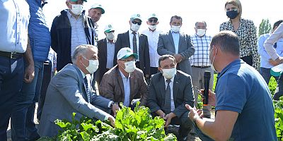 KAYSERİ ŞEKER’DE TARLA GÜNLERİ BAŞLADI 