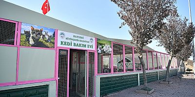  Kedi Bakım Evi Örnek Hizmet Sunuyor