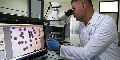 KIRIK TEDAVİLERİ İÇİN YENİ BİR BULUŞ