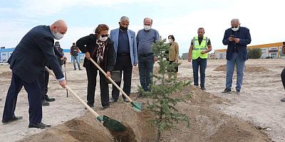 KOCASİNAN AĞAÇ DİKME SEZONUNU AÇTI!