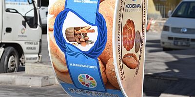 KOCASİNAN’DA BAYAT EKMEKLER, SOKAK HAYVANLARINA MAMA OLUYOR