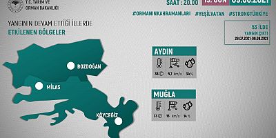 Köyceğiz ve Milas'taki yangınlar devam ediyor