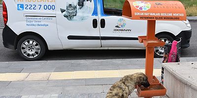 “KÜÇÜK DOSTLAR AMBULANSI 3  BİN 410 CAN KURTARDI”