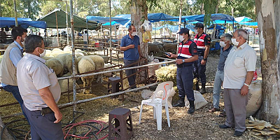 Kurban Bayramı Öncesi Ülke Genelinde Türkiye Güven Huzur Uygulaması Gerçekleştirildi