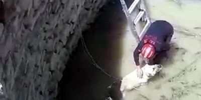 KUYUYA DÜŞEN KÖPEĞİN YARDIMINA İTFAİYE KOŞTU!