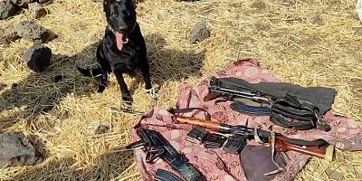 Mardin'de silah kaçak operasyonu: 19 gözaltı