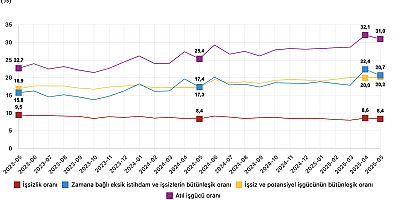 Mayıs ayında işsizlik yüzde 8,4, atıl işgücü oranı yüzde 31