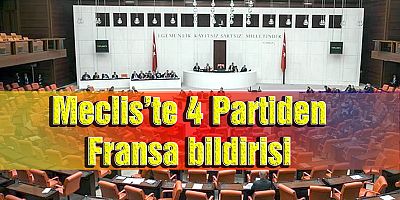 Meclis’ten ortak Fransa bildirisi