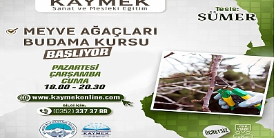 MEYVE AĞAÇLARININ NASIL BUDANACAĞI ÖĞRETİLECEK
