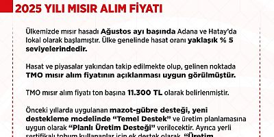 Mısır alım fiyatı 11 bin 300 lira olarak açıklandı