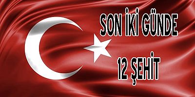 MSB'den 6 şehit ve operasyon açıklaması
