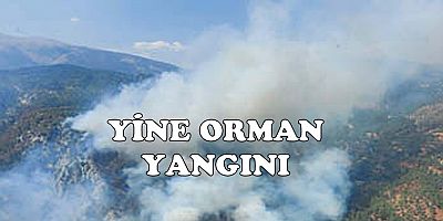 Muğla Köyceğiz’de orman yangını çıktı