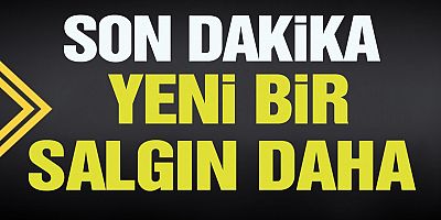 Nipah virüsünün ölüm oranı yüzde 75 aşısı yok