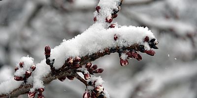 Nisan’da Kar Yağışı Şaşırttı…