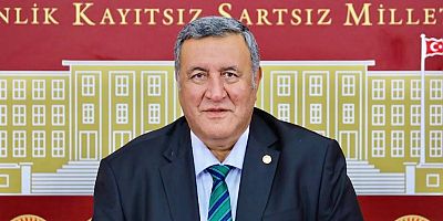 Ömer Fethi Gürer: 
