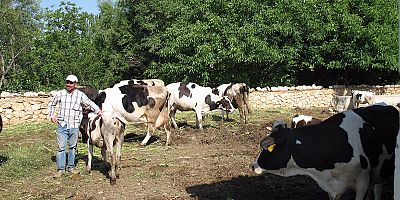 Orman köylüsüne 400 milyon