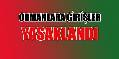 Ormanlara girişler yasaklandı