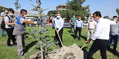 Palancıoğlu“fidan değil, ağaç dikiyoruz”