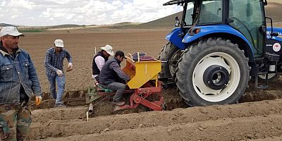 Patates ekimleri devam ediyor