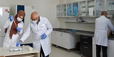 Patatesin standart çalışması sürüyor