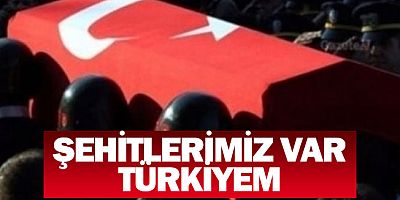 Pençe-Kilit Operasyonu: Şehit sayısı 4'e yükseldi