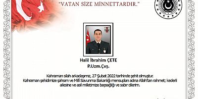 Pençe Yıldırım Harekâtı: 1 şehit